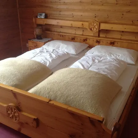 Apartment Haus Elsa Ramsau am Dachstein