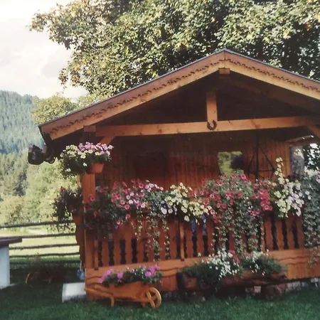 Apartment Haus Elsa *