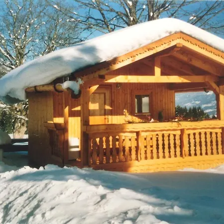 Apartment Haus Elsa Ramsau am Dachstein