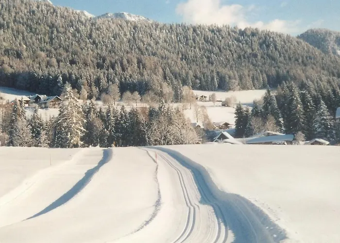 Apartamento Haus Elsa *